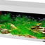 DUBAI 120 LED