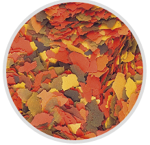 ΕΠΙΒΛΕΨΗ BASIC FLAKE