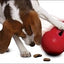 KONG WOBBLER