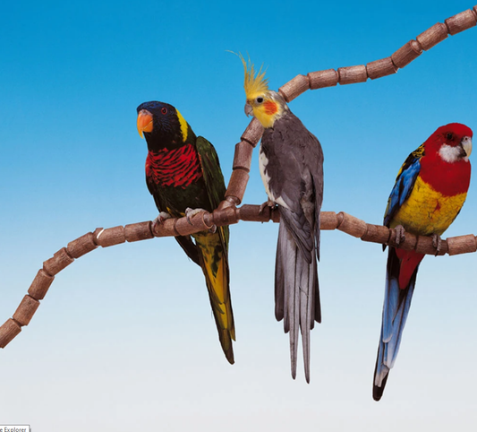FLEX PERCH