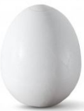 PLASTIC CHICKEN EGGS