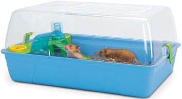 RODY HAMSTER