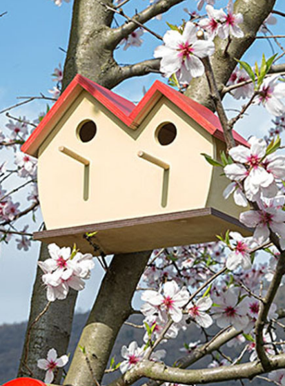 NEST FUN 5