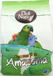 22-BIRDLICIOUS PARROT AMAZONIA