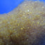 WATER SOFTENER PILLOW FILT.XP 400g