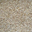 TOP FRESH BASIC MICRO 20L