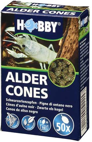 50pcs ALDER CONES
