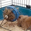 BUNNY TOY