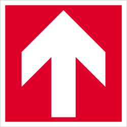 ΕΠΙΒΛΕΨΗ BASIC FLAKE