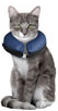 INFLATABLE COLLAR FOR DOGS