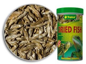 DRIED FISH