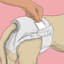 DOG DIAPERS