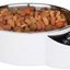 INTELLIGENT PET BOWL