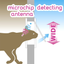 SWING MICROCHIP