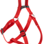 EASY P HARNESS