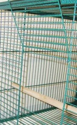 BIRD CAGE