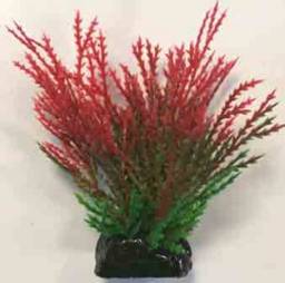 PLASTIC PLANT ΑΠ 056