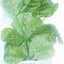 SILK PLANT GREEN BIG ROUND LEAF