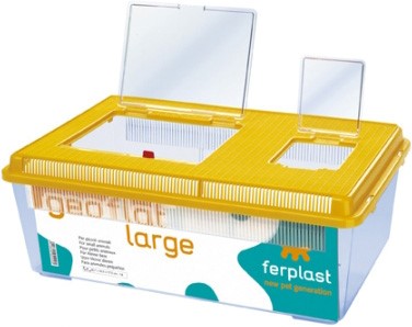 GEO FLAT LARGE