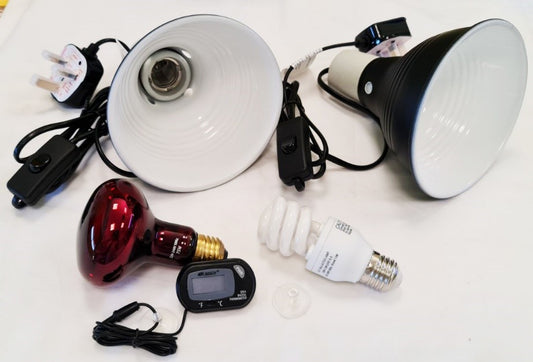 BEARDED DRAGON KIT