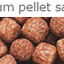 ЗАРОДЫШИ ПШЕНИЦЫ
