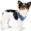 NIKITA P BLUE