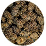 50pcs ALDER CONES