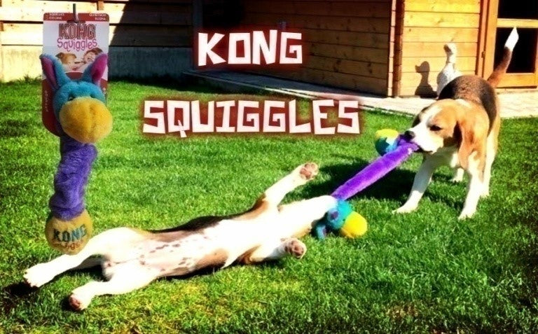 KONG SQUIGLES