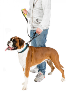 SPORT DOG MATIC LEAD