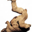 MOPANI WOOD per kg