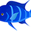 CICHLID BIO-GOLD