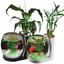 NATURAL WORLD AQUARIUM SIGLE TANK