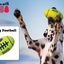 AIR KONG FOOTBALL