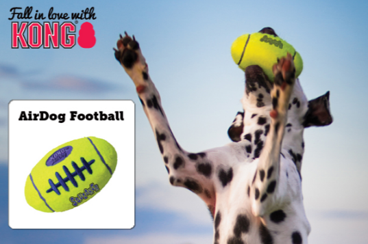 AIR KONG FOOTBALL