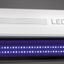 LEDDY SLIM ACTINIC