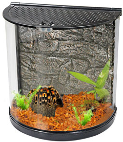HALF MOON TERRARIUM