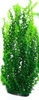 PLASTIC PLANT DARK GREEN ROUND LEAF 65cm