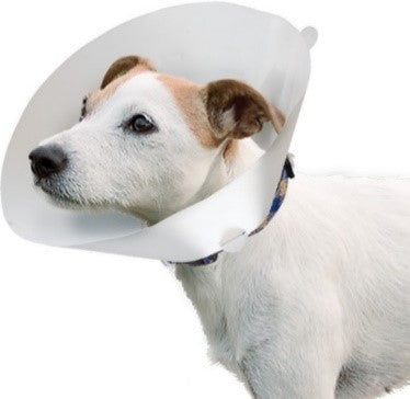VETERINARY DOG COLLAR