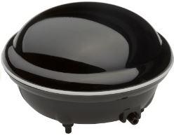 OXYBOOST PLUS
