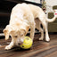 REWARDS TENNIS
