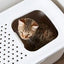 LITTER TRAY HOP-IN