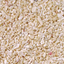 MARINE SAND 4-6MM    5Kg
