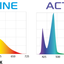 LEDDY TUBE RETROFIT ACTINIC