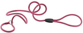 SPORT LEAD GC NEW COLOUR