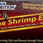 GSL BRINE SHRIMP EGGS 20G