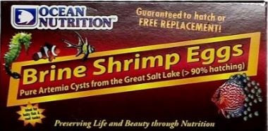 GSL BRINE SHRIMP EGGS 20G