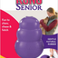 SENIOR KONG
