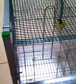 QUAIL CAGE 2 FLOORS