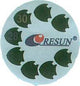 RST-05  THERMOMETER