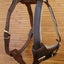 LEATHER DOG HARNESS